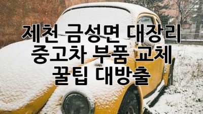 제천 금성면 대장리 중고차 부품 교체, 꿀팁 대방출! 🚗🛠️